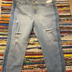 Celebrity Pink Plus Jeans